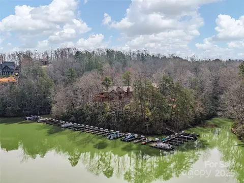 63 Lake Adger Road #63, Mill Spring, NC 28756 photo 13