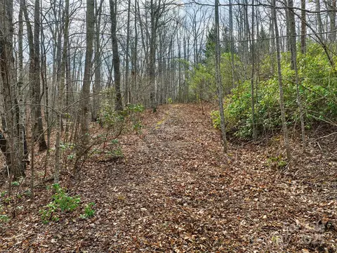63 Lake Adger Road #63, Mill Spring, NC 28756 photo 7