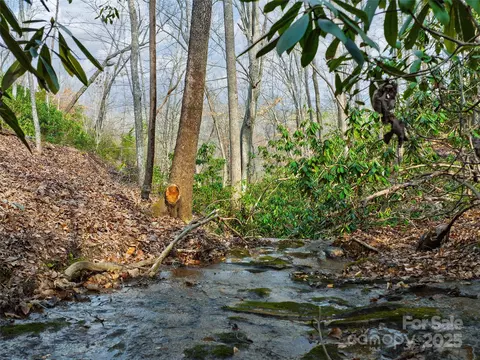 63 Lake Adger Road #63, Mill Spring, NC 28756 photo 8
