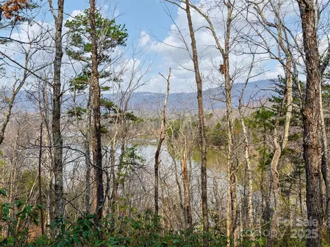 63 Lake Adger Road #63, Mill Spring, NC 28756 photo 5
