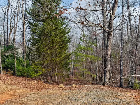 63 Lake Adger Road #63, Mill Spring, NC 28756 photo 6