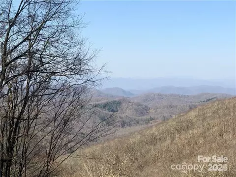285 Granny Lewis Ln, Mars Hill, NC 28754