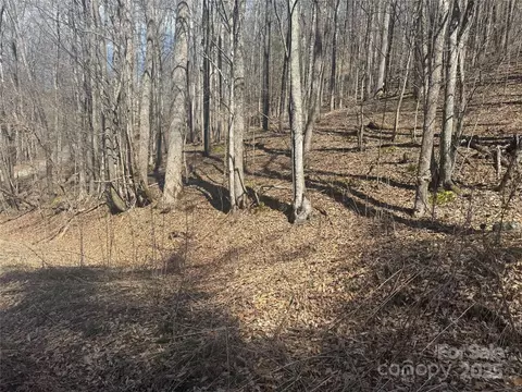 14 Lower Trillium Ln, Mars Hill, NC 28754