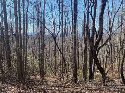 Mountain Crest S Drive, Marion, NC 28752