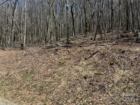 Grouse Thicket Lane, Mars Hill, NC 28754