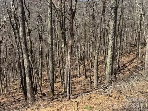 261 Grouse Thicket Ln, Mars Hill, NC 28754