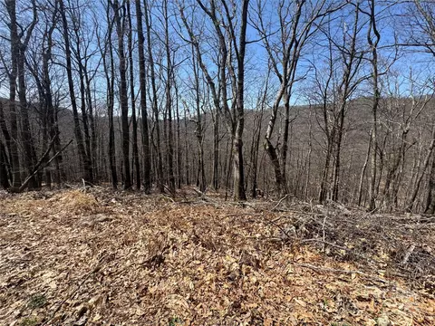 Hamlin Lane, Mars Hill, NC 28754