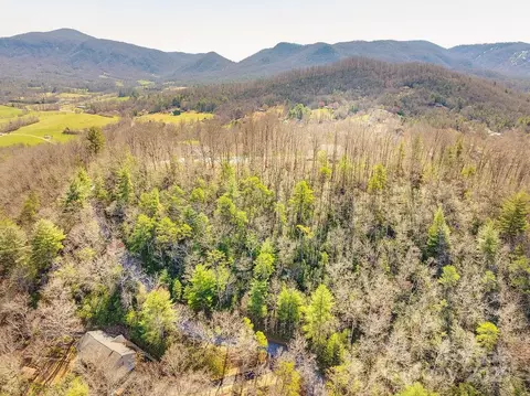 99999 Pheasant Ridge 13 Rd #13, Fairview, NC 28730