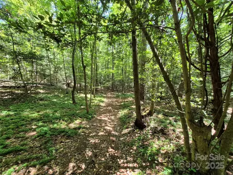 000 16th Ne St NE, Hickory, NC 28601 photo 5