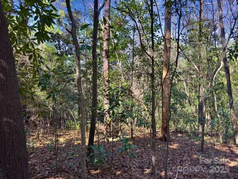 0 Minturn Ave, Hamlet, NC 28345 photo 18