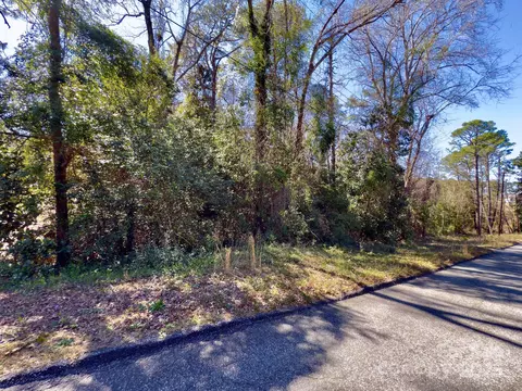 0 Minturn Ave, Hamlet, NC 28345 photo 4
