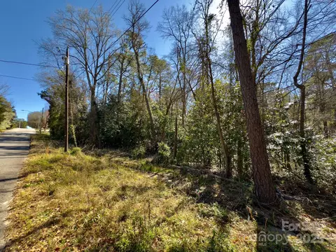 0 Minturn Ave, Hamlet, NC 28345 photo 3