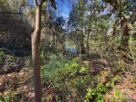 0 Minturn Ave, Hamlet, NC 28345 photo 19
