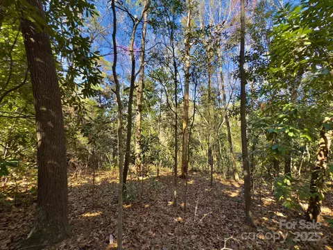 0 Minturn Ave, Hamlet, NC 28345 photo 8