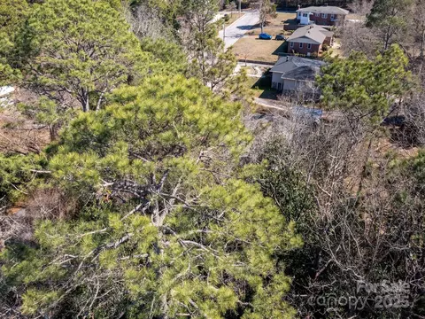 0 Minturn Ave, Hamlet, NC 28345 photo 11