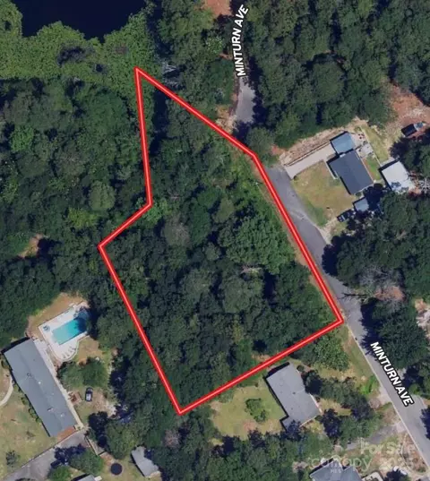 0 Minturn Ave, Hamlet, NC 28345 photo 27