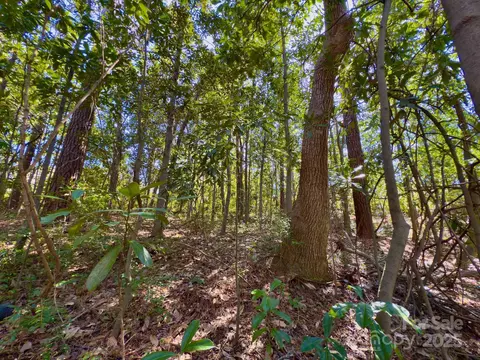 0 Minturn Ave, Hamlet, NC 28345 photo 7