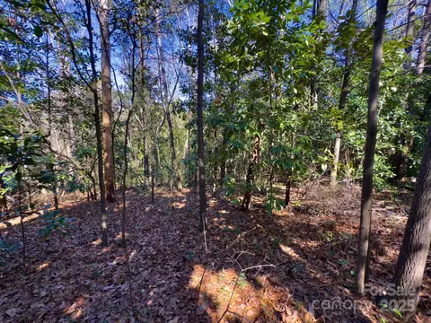 0 Minturn Ave, Hamlet, NC 28345 photo 26