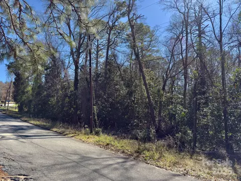 0 Minturn Ave, Hamlet, NC 28345 photo 12