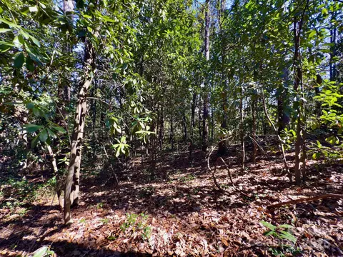 0 Minturn Ave, Hamlet, NC 28345 photo 17