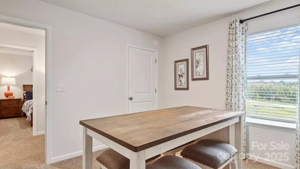 Entry Way - 12109 Lady Bell Dr, Charlotte, NC 28278 photo 7 of 7