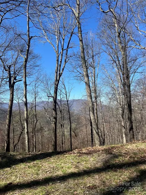 000 Weatherwatch Ln, Waynesville, NC 28786