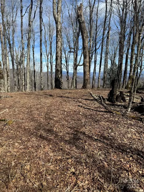 Upper Haw Drive, Mars Hill, NC 28754 photo 19