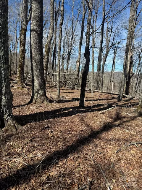 Upper Haw Drive, Mars Hill, NC 28754 photo 22