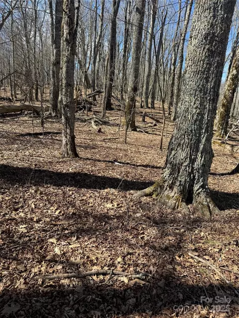 Upper Haw Drive, Mars Hill, NC 28754 photo 32