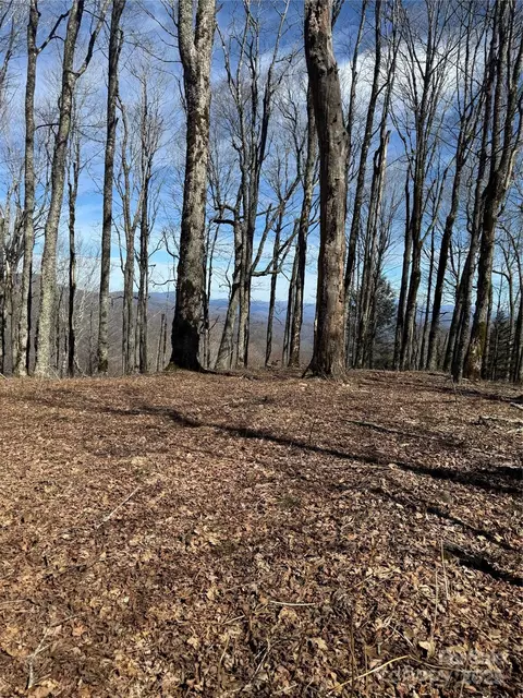Upper Haw Drive, Mars Hill, NC 28754 photo 18