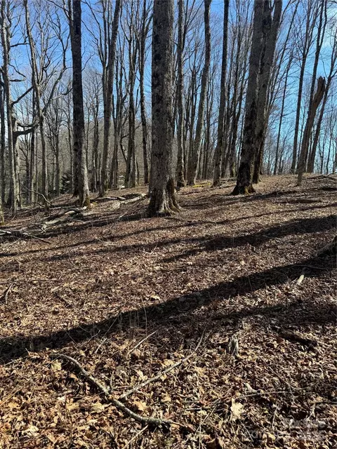 Upper Haw Drive, Mars Hill, NC 28754 photo 24
