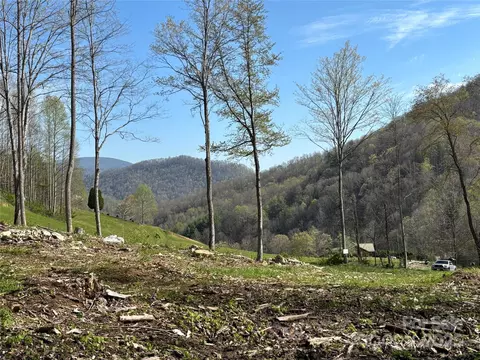 Silas Branch Road, Burnsville, NC 28714