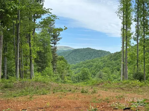 Silas Branch Road, Burnsville, NC 28714