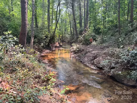 45 Stones Lake Rd, Cedar Mountain, NC 28718