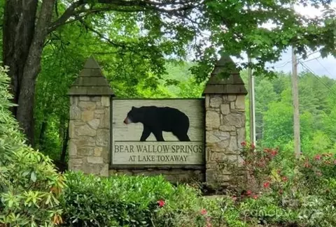Mills Lane, Sapphire, NC 28774