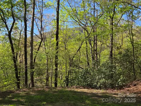 Walnut Lane, Lake Lure, NC 28746