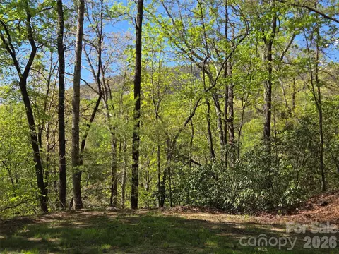 Walnut Lane, Lake Lure, NC 28746