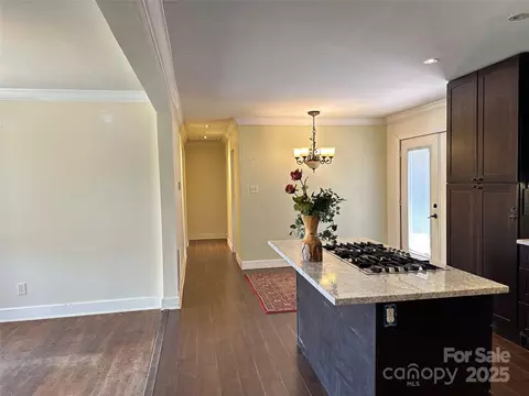 207 Lakeside Ave, Davidson, NC 28036 photo 6