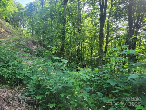 400 Mountain Laurel 57 Rd #57, Maggie Valley, NC 28751