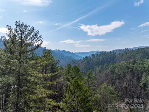 0 Wagon Ridge Rd, Ferguson, NC 28624