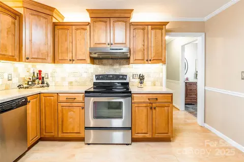 10028 Bora Bora Dr, Tega Cay, SC 29708 photo 16