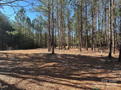 4313 E Maiden Rd, Maiden, NC 28650 photo 4