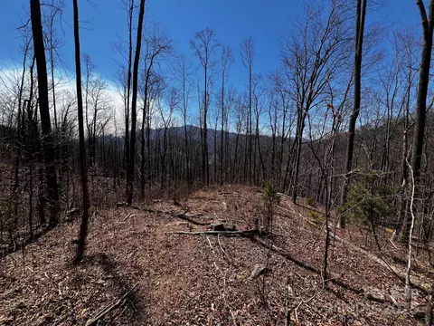 0 Rocky Face Rf-1 D-19 Dr #RF-1 / D-19, Canton, NC 28716