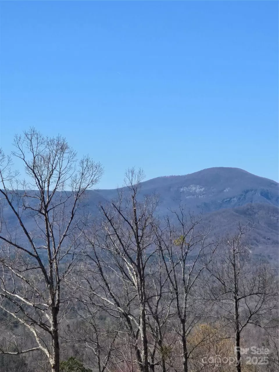  00 Golden Ridge 209 Dr #209, Lake Lure, NC 28746 photo 12