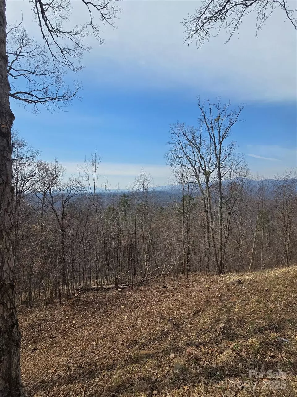  00 Golden Ridge 209 Dr #209, Lake Lure, NC 28746 photo 3