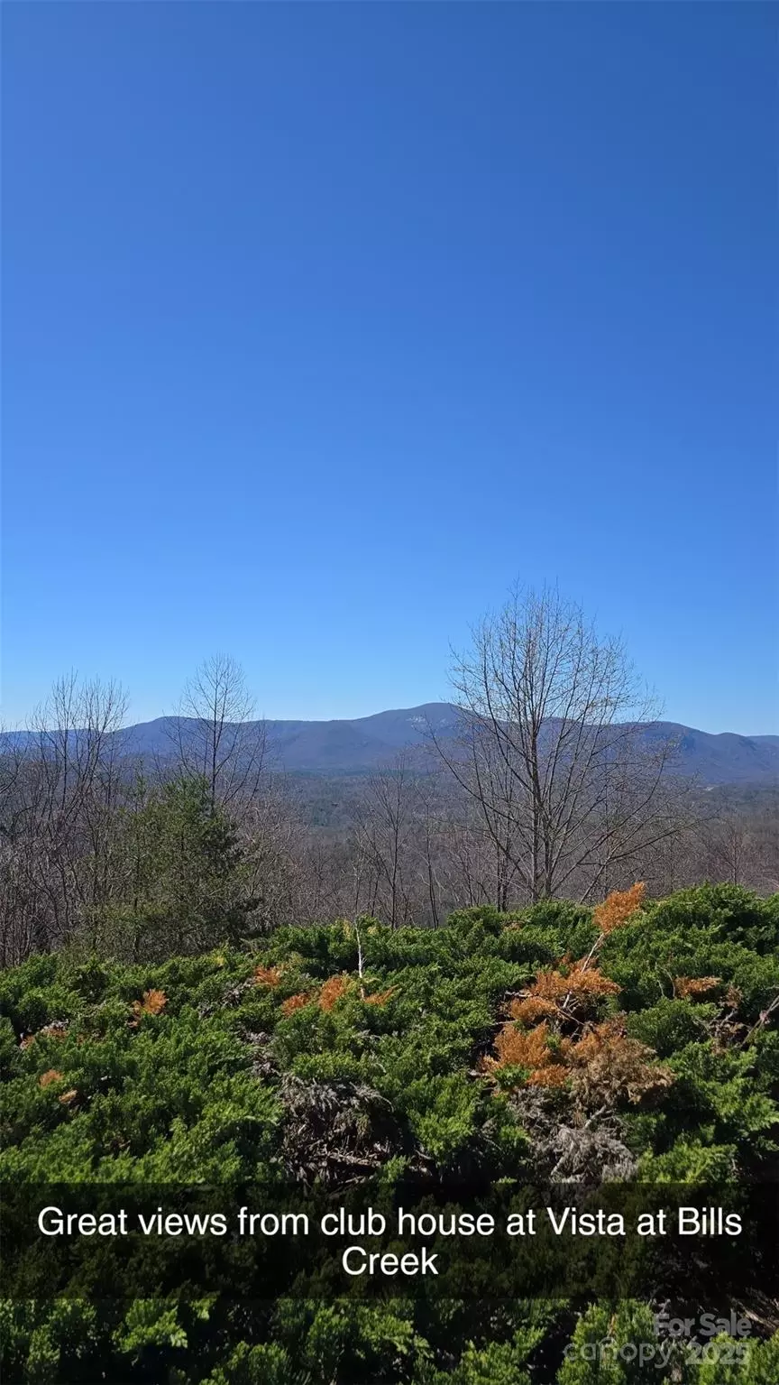  00 Golden Ridge 209 Dr #209, Lake Lure, NC 28746 photo 19