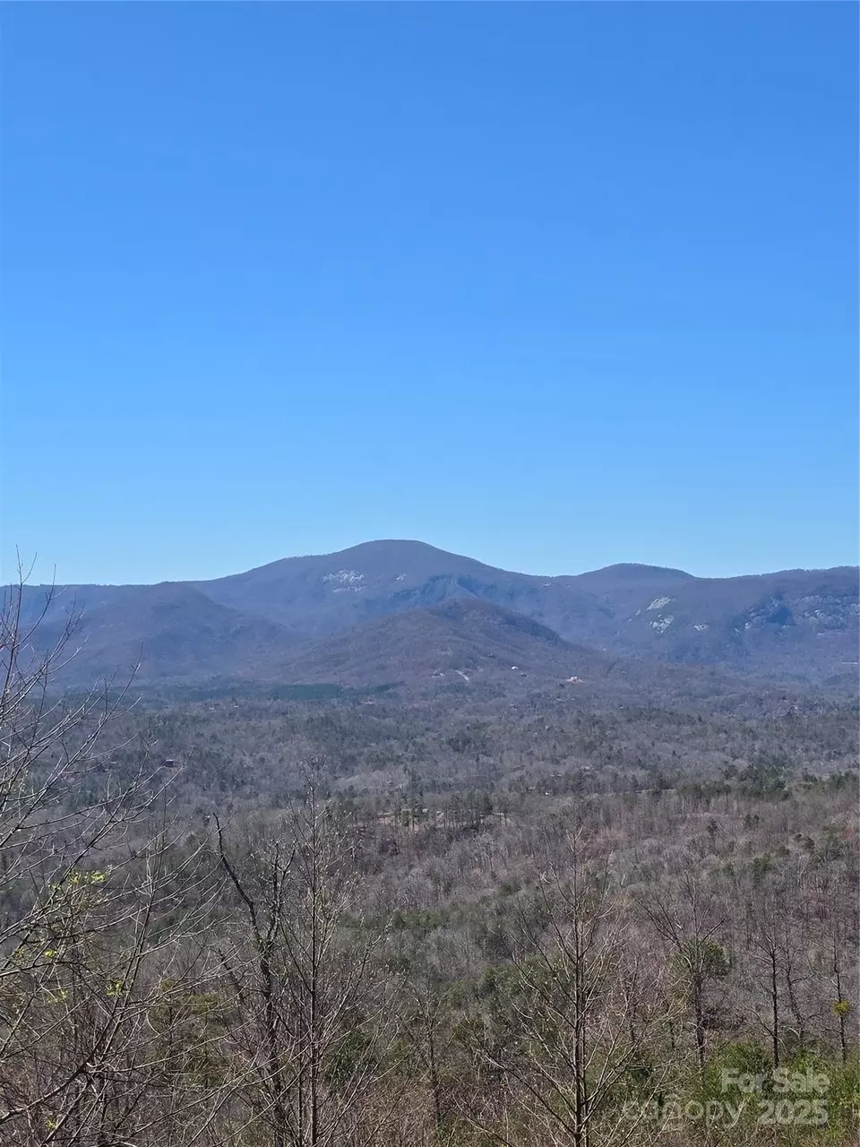  00 Golden Ridge 209 Dr #209, Lake Lure, NC 28746 photo 20