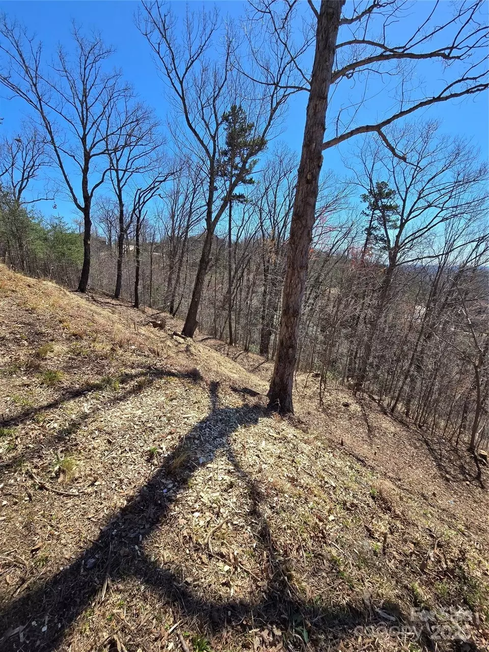  00 Golden Ridge 209 Dr #209, Lake Lure, NC 28746 photo 11