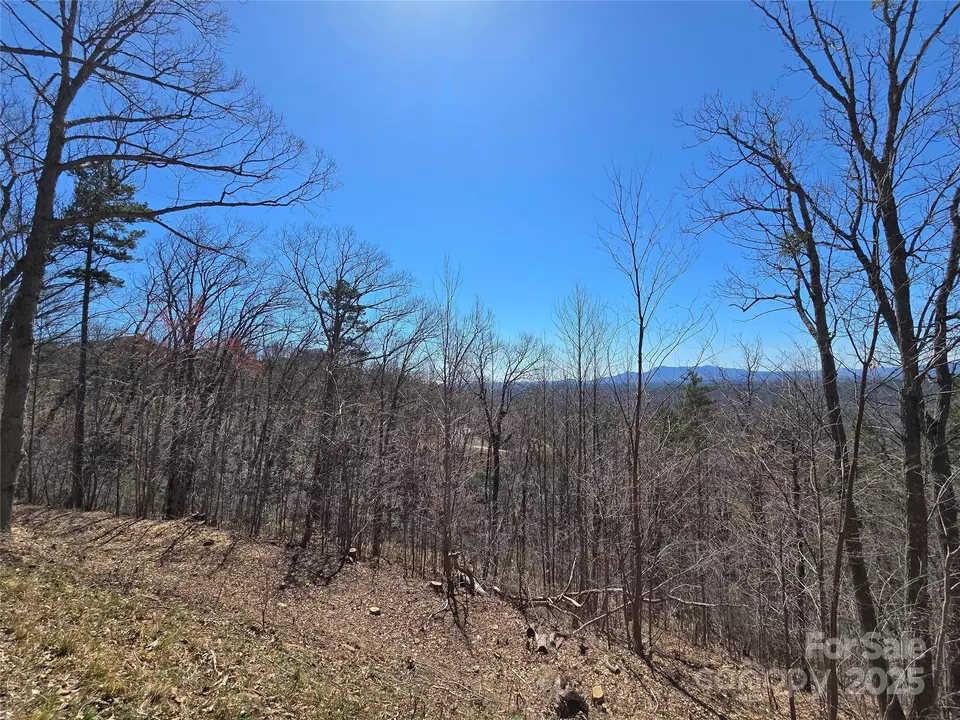  00 Golden Ridge 209 Dr #209, Lake Lure, NC 28746 photo 10