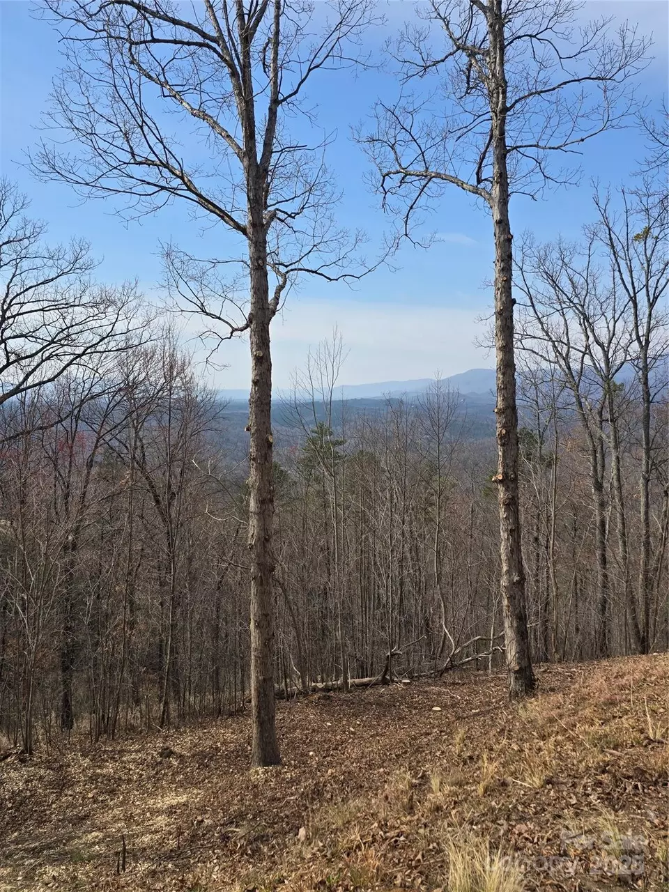  00 Golden Ridge 209 Dr #209, Lake Lure, NC 28746 photo 9